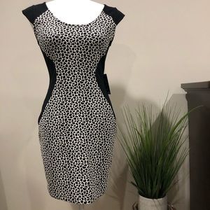 EXPRESS Animal Print Bodycon Dress